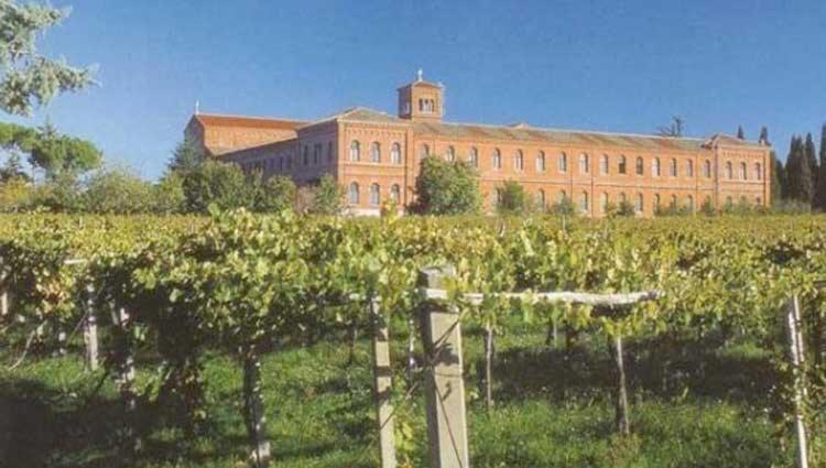 A Casa Di Marco Guesthouse - Apt Di Ciampino E Stazione Per Roma Marino Esterno foto