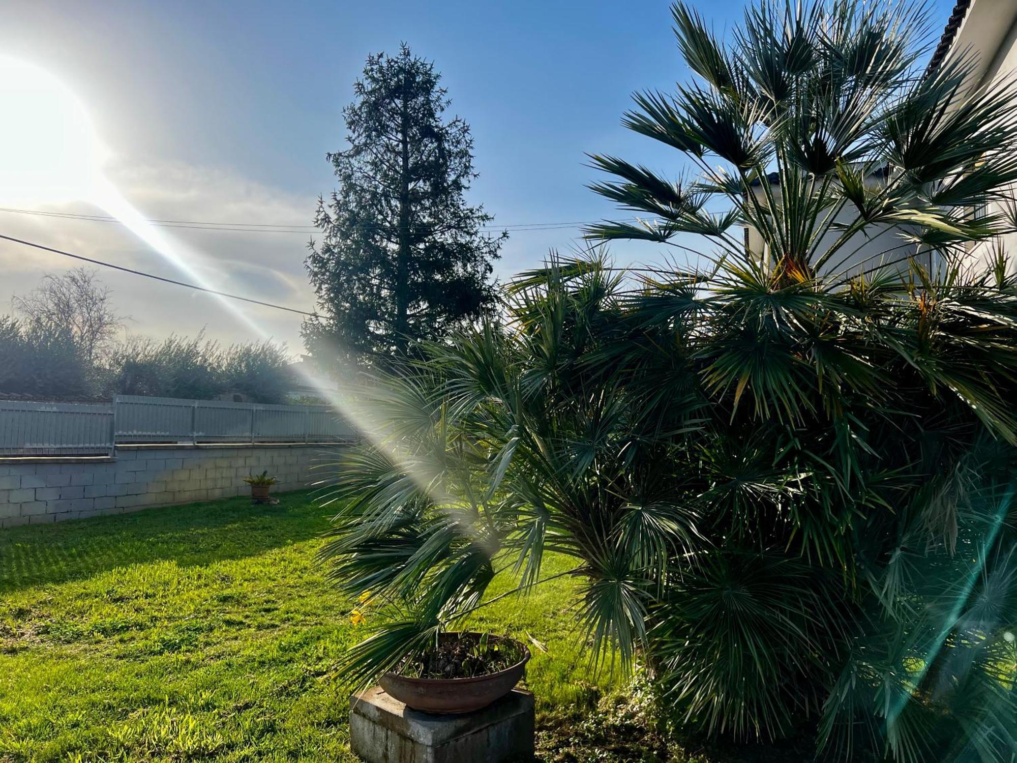 A Casa Di Marco Guesthouse - Apt Di Ciampino E Stazione Per Roma Marino Esterno foto