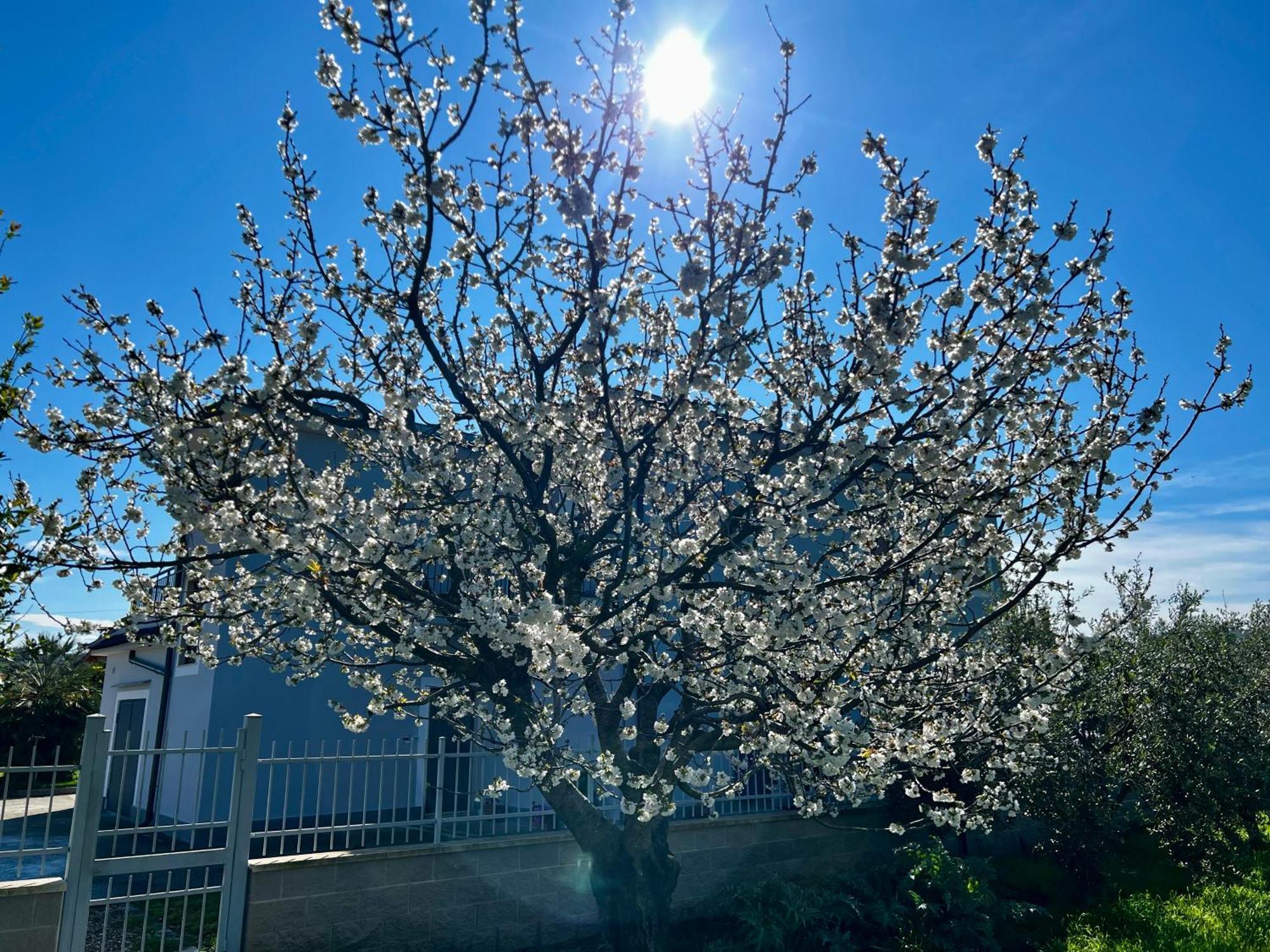 A Casa Di Marco Guesthouse - Apt Di Ciampino E Stazione Per Roma Marino Esterno foto